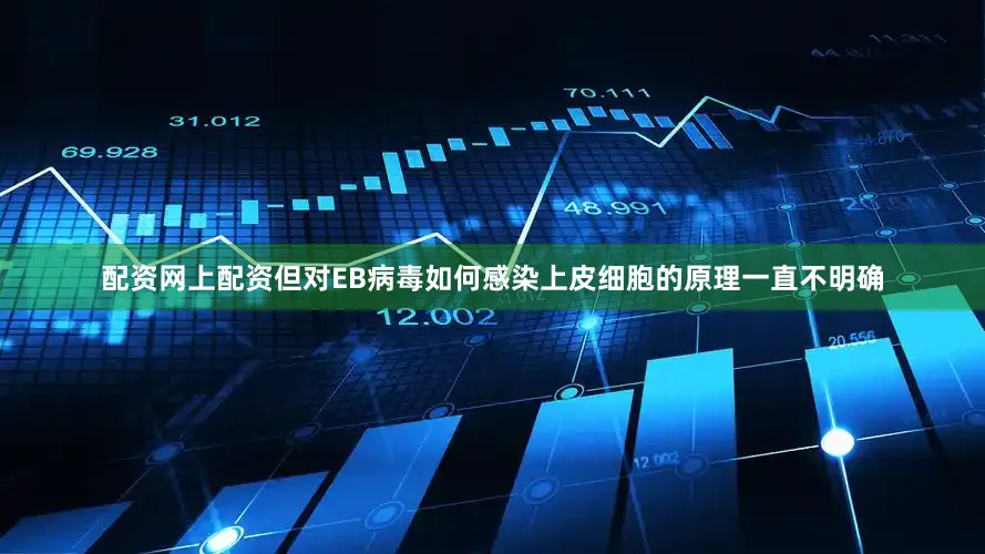 配资网上配资但对EB病毒如何感染上皮细胞的原理一直不明确