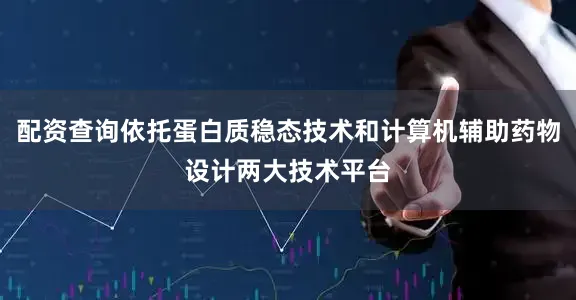 配资查询依托蛋白质稳态技术和计算机辅助药物设计两大技术平台