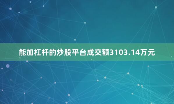 能加杠杆的炒股平台成交额3103.14万元