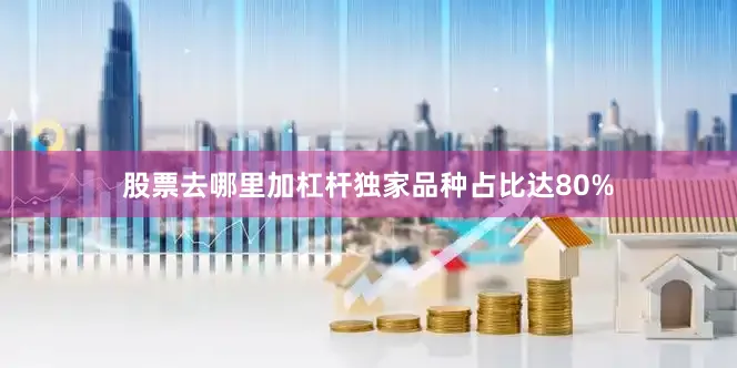 股票去哪里加杠杆独家品种占比达80%